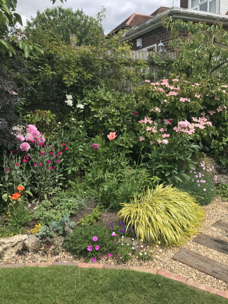 イギリスの庭