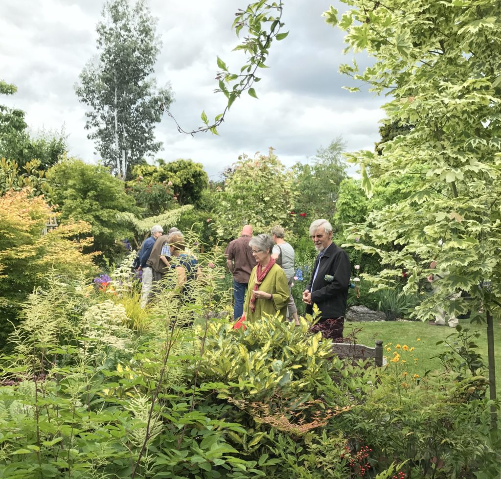 イギリスの庭 English Garden