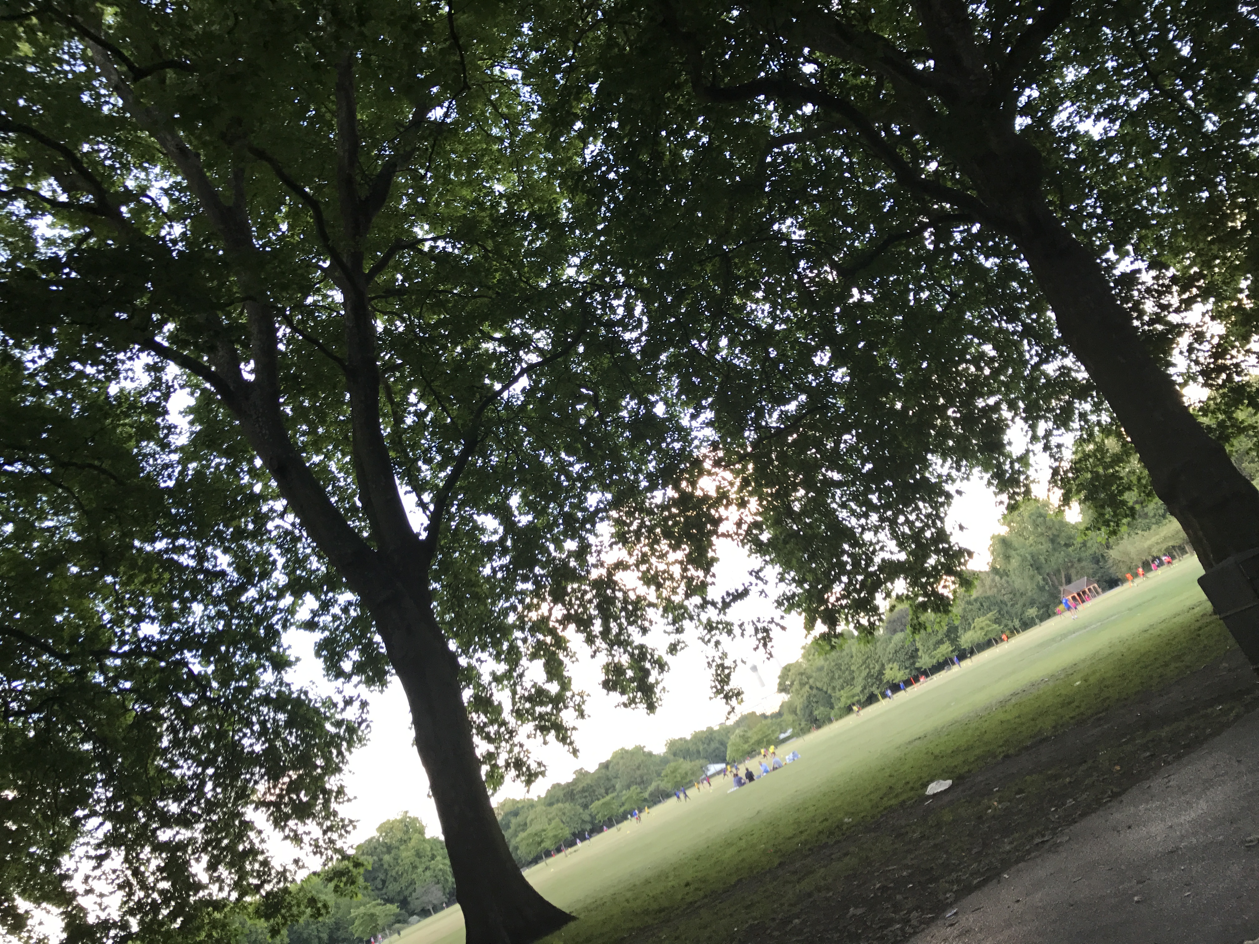 公園 ロンドン